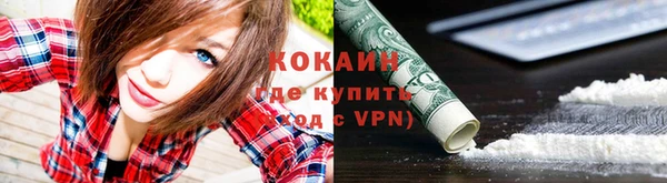 СК Абинск