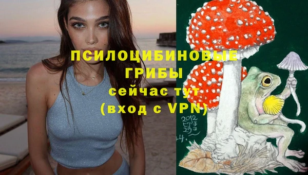 кокс Алексеевка