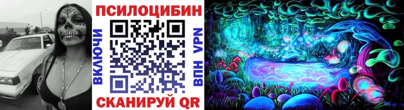 Галлюциногенные грибы Psilocybine cubensis  KRAKEN ССЫЛКА  Нахабино  купить  