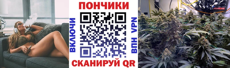 Шишки марихуана Amnesia  Нахабино 